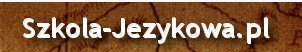 Turs beligijskiego, język w belgii, kurs w belgii,
