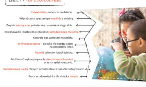 Dzieci, które nie chodzą do szkoły. Homeschooling coraz bardziej popularny