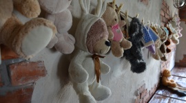 Stwórz swojego misia i wygraj wyjazd do Disneylandu! - Miś pełni w życiu każdego dziecka bardzo ważną rolę – zabawki, przytulanki, a niekiedy nawet przyjaciela.