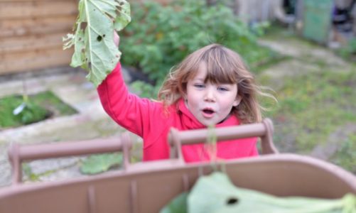 Operacja Segregacja – bezpłatne eko-warsztaty dla dzieci
