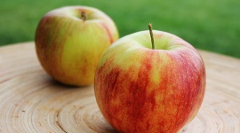 Dzieci jedzą zdrowo: twardy problem u dzieci - czyli jak sobie radzić z ... - Wypróżnianie małego dziecka – temat rzeka. Wielogodzinne dysputy o częstotliwości, kolorze i konsystencji zrozumie tylko ten, kto sam ma dziecko i wie, że temat wypróżniania jest równie ważny jak temat karmienia, a dodatkowo zdarza się, że bywa boleśnie kłopotliwy.