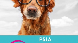 Psia Edukacja w Galerii SFERA - Po raz kolejny wracamy z lubianą i docenianą przez naszych klientów akcją Psiej Edukacji.
