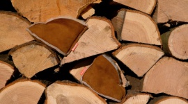 Ziajok – pierwsze buty w życiu dziecka - Małe stópki niemowlęcia są delikatne i mięciutkie. Ich widok wzrusza i rozczula wszystkich. Która mama nie chciałaby ich całować i tulić w nieskończoność? Wymagają szczególnej uwagi, bo w przyszłości będą musiały dźwigać nasze ciało podczas chodzenia.