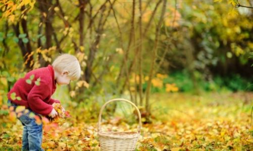 Jesienne sposoby na spędzenie czasu z dzieckiem