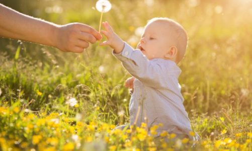 Trwa Światowy Tydzień Alergii