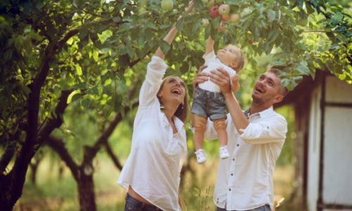 Nowe produkty z farmy Pana Organica!