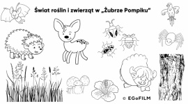 Co jada dzik? - jak filmy animowane wspierają edukację najmłodszych - Dzieci szybciej przyswajają różnego rodzaju informacje, kiedy angażują wszystkie swoje zmysły. W bardziej przystępnym przekazywaniu wiedzy przedszkolakom bądź uczniom klas I-III może pomóc film – często wartościowe źródło np. ciekawostek przyrodniczych.