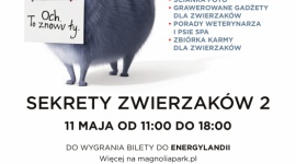 Sekretne zwierzaki przyjeżdżają do Wrocławia - Zwierzaki domowe znane z komedii animowanej, która podbiła świat, ruszyły w trasę po Polsce. Już za kilka dni spotkają się z fanami we wrocławskiej Magnolia Park. Wydarzenie „Sekrety zwierzaków 2” to mnóstwo atrakcji.