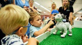 Niech robot zaparzy Ci kawę! - Podpowiedzą przepis na dobre domowe ciasto, posprzątają mieszkanie, umyją okna a nawet zaparzą kawę! Nowoczesne roboty z całego świata oraz ich niesamowite umiejętności oglądać można na interaktywnej wystawie, która do 11 sierpnia trwa w Porcie Łódź.