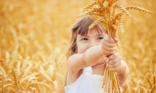 Produkty zbożowe w diecie niemowlęcia. Jak wybierać te odpowiednie dla malucha?