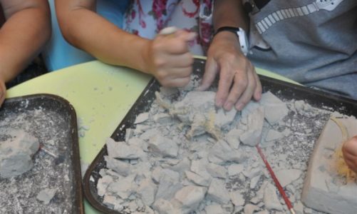 Sześciometrowe dinozaury opanują Wrocław