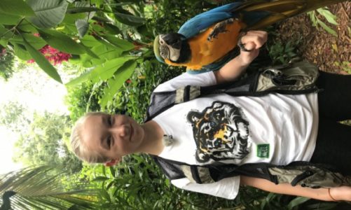 Mikołajkowe spotkanie z Nelą we Wrocławiu