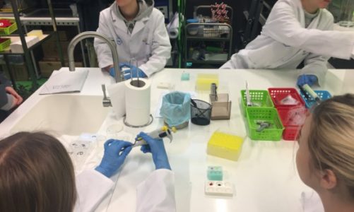 Rozwijają skrzydła na Fabrycznej. Edukacyjny projekt w ZSS w Białymstoku