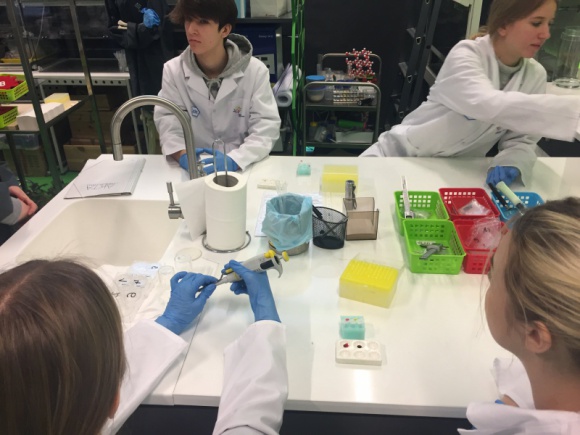 Rozwijają skrzydła na Fabrycznej. Edukacyjny projekt w ZSS w Białymstoku - „Rozwijamy skrzydła na Fabrycznej” – to unijny projekt, który przez dwa lata będzie realizowany w ZSS Fundacji Edukacji „Fabryczna 10”. Jego celem jest wsparcie rozwoju uczniów ze specjalnymi potrzebami edukacyjnymi.