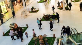 Wiosenne atrakcje w Galerii Północnej - Od soboty, 6 marca mieszkańcy Warszawy mogą bezpłatnie odwiedzić wystawę owadów, znajdującą się na parterze Galerii Północnej